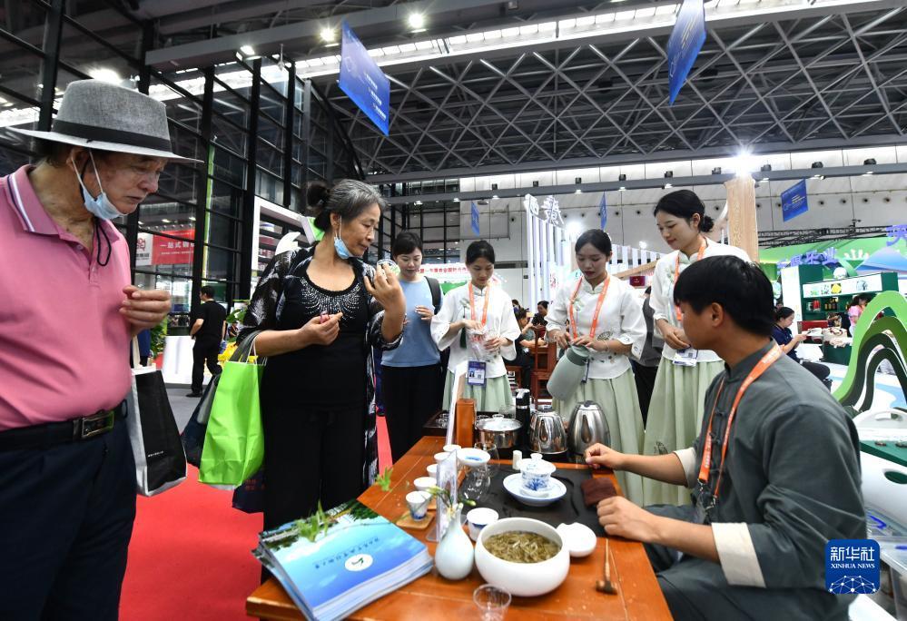 新宝返点最高是多少